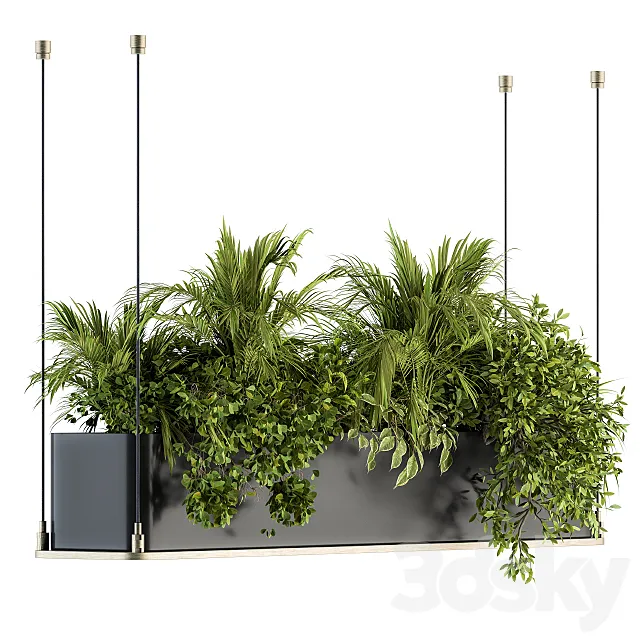 indoor Plant Set 218 – Hanging Plants 3ds Max