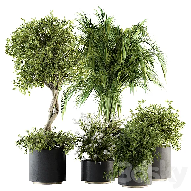 indoor Plant Set 222 – Plant Set in pot 3DSMax File