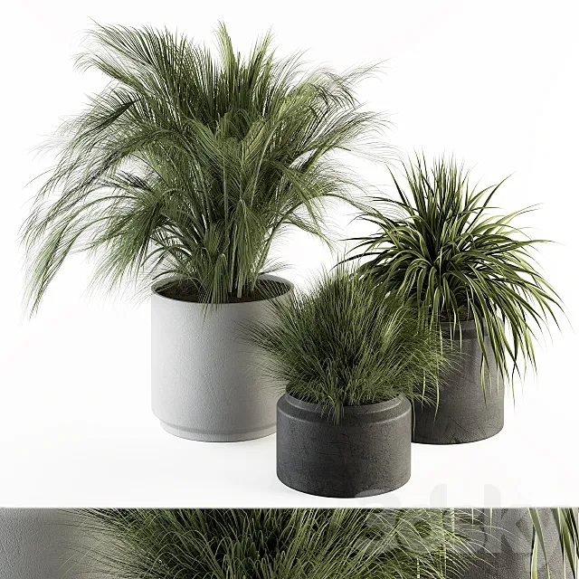 indoor Plant Set 223 – Plant Set in pot 3ds Max