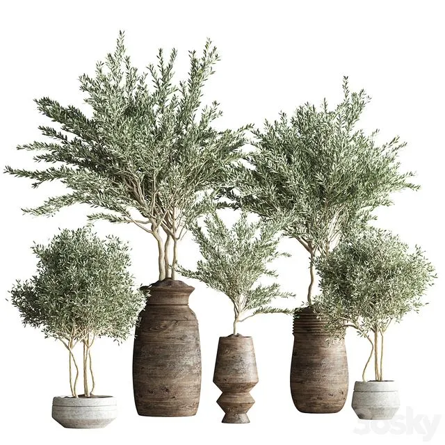 indoor plant set 23 3dsMax Model