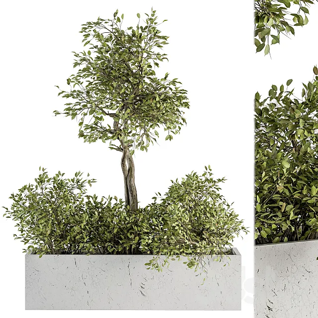 indoor Plant Set 235 – Plant Set in Box 3DS Max Model