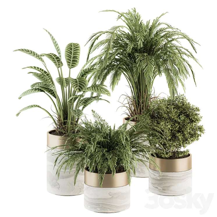 indoor Plant Set 245 – Plant Set in pot 3DS Max