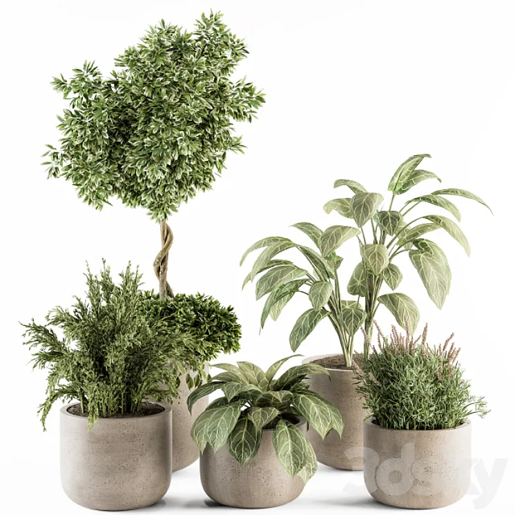 indoor Plant Set 247 – Plant Set in Pot 3DS Max Model