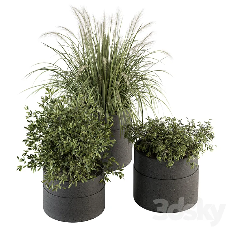 indoor Plant Set 250 – Plants Set in Pot 3DS Max Model