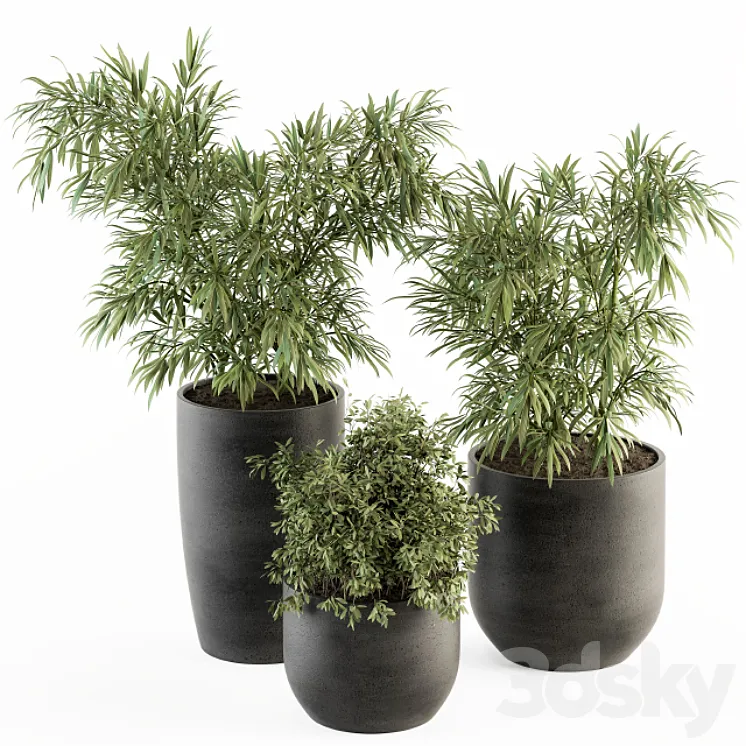 indoor Plant Set 253 – Plants Set in pot 3DS Max