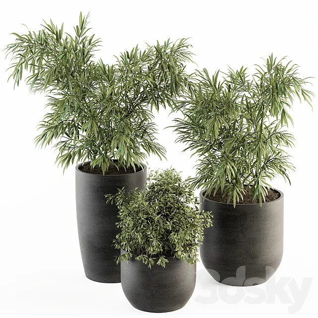 indoor Plant Set 253 – Plants Set in pot 3DSMax File