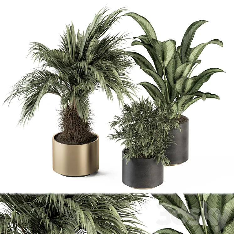indoor Plant Set 256 – Plant Set in pot 3DS Max