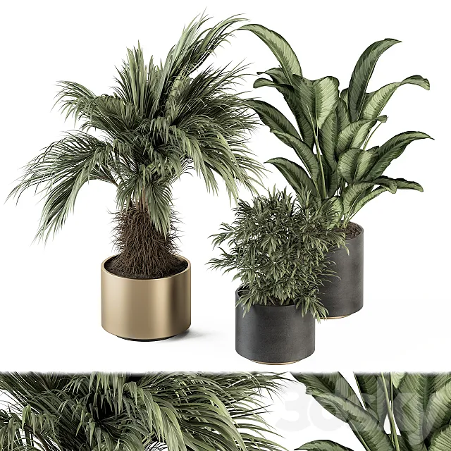 indoor Plant Set 256 – Plant Set in pot 3DSMax File