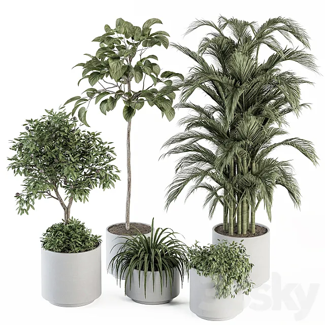 indoor Plant Set 257 – Plant Set in pot 3DS Max Model