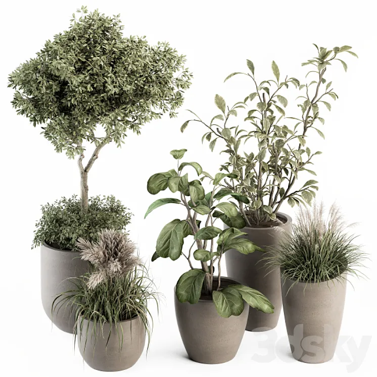 indoor Plant Set 264 – Plant Set in pot 3DS Max