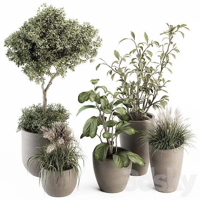 indoor Plant Set 264 – Plant Set in pot 3DSMax File