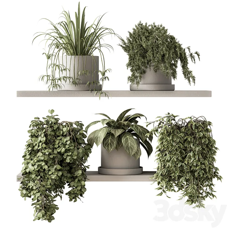 indoor Plant Set 281 – Plant pot on shelves 3DS Max Model