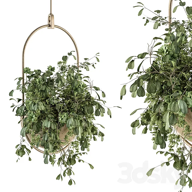 indoor Plant Set 283 – Hanging Plants 3ds Max