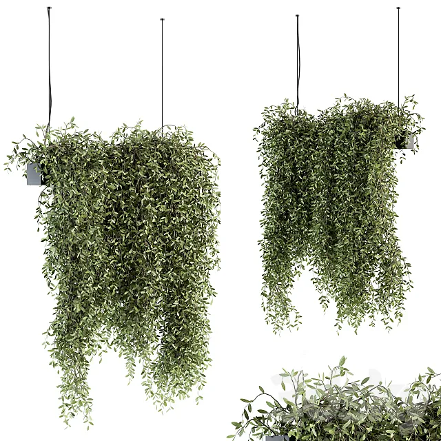 indoor Plant Set 287 – Hanging Plants 3ds Max