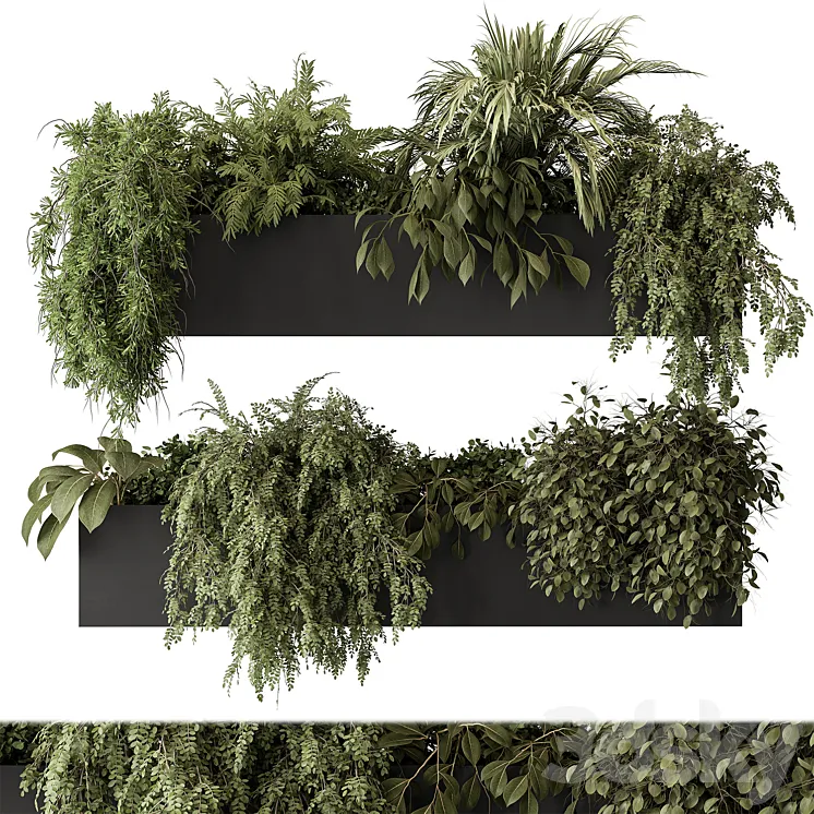 indoor Plant Set 297 – Hanging Plants 3DS Max Model