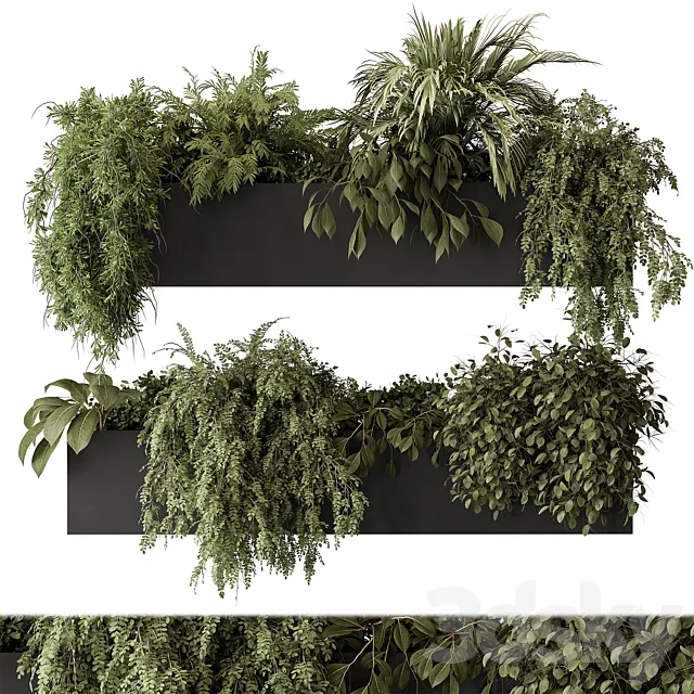 indoor Plant Set 297 – Hanging Plants 3DSMax File