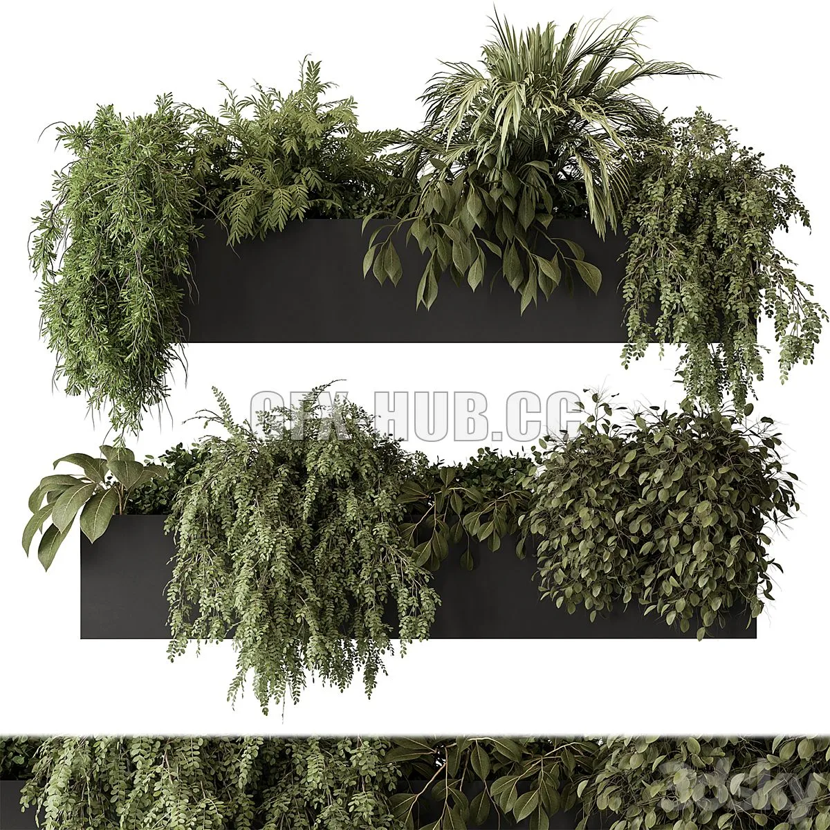 indoor Plant Set 297 – Hanging Plants 3dsMax Model