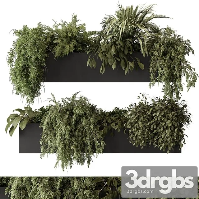 Indoor plant set 297 – hanging plants