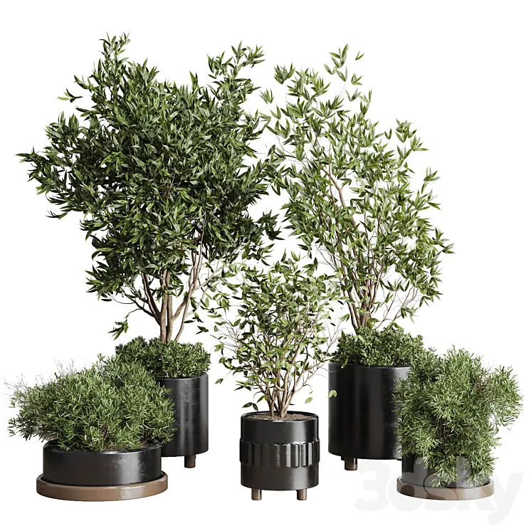 Indoor plant set 298 concrete vase plant tree bush pot 3DS Max
