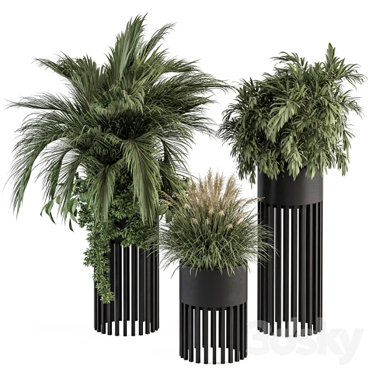 indoor Plant Set 301 – Plant Set in Round Stand Black pot 3DS Max