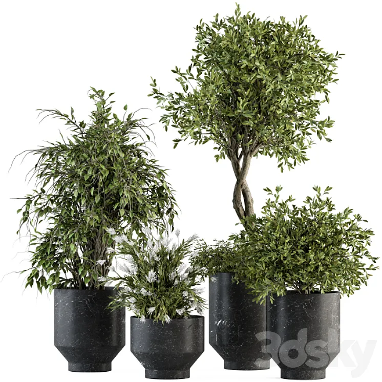 indoor Plant Set 308 – Tree and Plant Set in Black pot 3DS Max