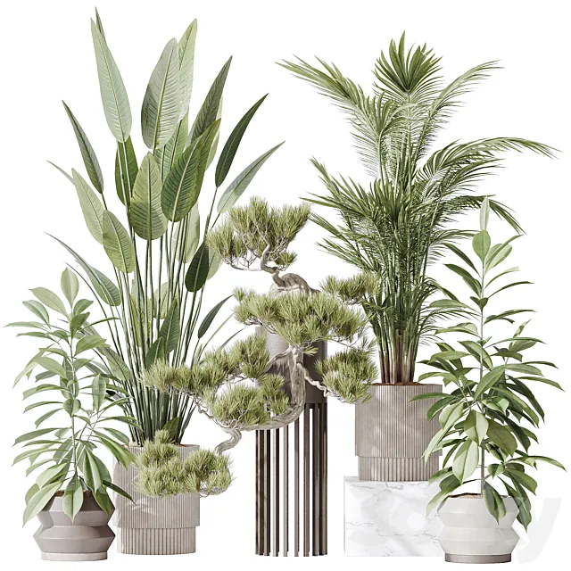 Indoor plant set 31 3ds Max