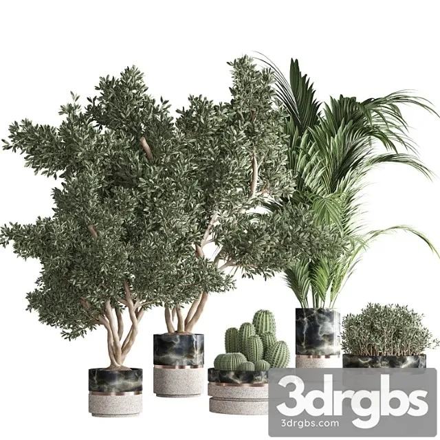 Indoor plant set 31