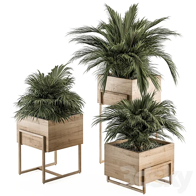 indoor Plant Set 318 – Plant Set in Wood Box 3DSMax File
