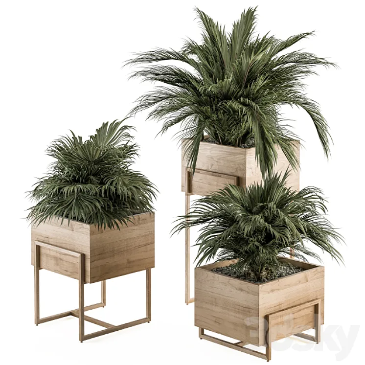 indoor Plant Set 318 – Plant Set in Wood Box 3DS Max Model