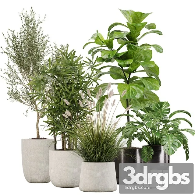 Indoor plant set 32