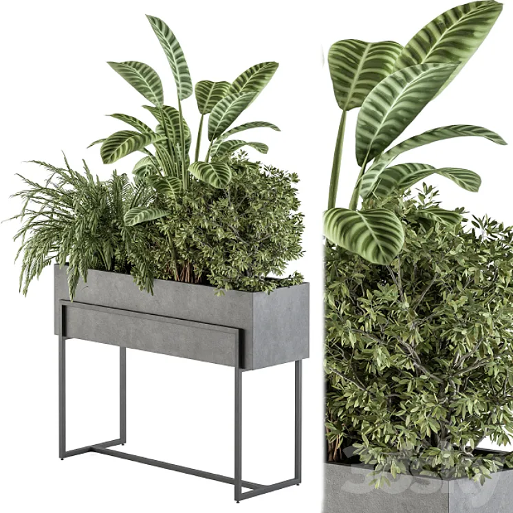 indoor Plant Set 321 – Plant Set in Black Box 3DS Max Model