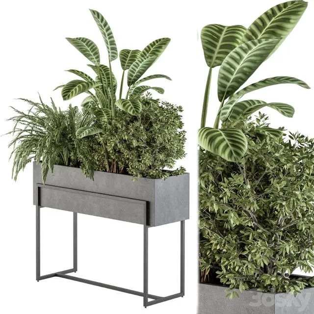 Indoor Plant Set 321 Plant Set In Black Box 3dsMax Model