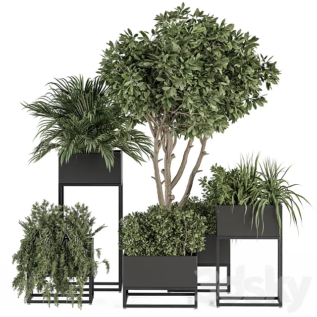 indoor Plant Set 327 – Plant Set in Black Box 3ds Max