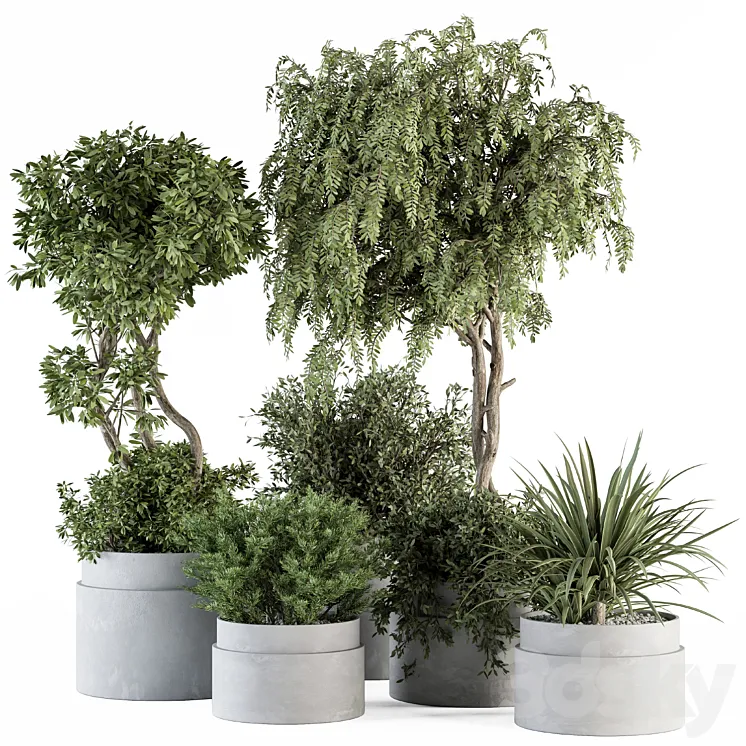 indoor Plant Set 341- Tree and Plant Set in Gray pot 3DS Max