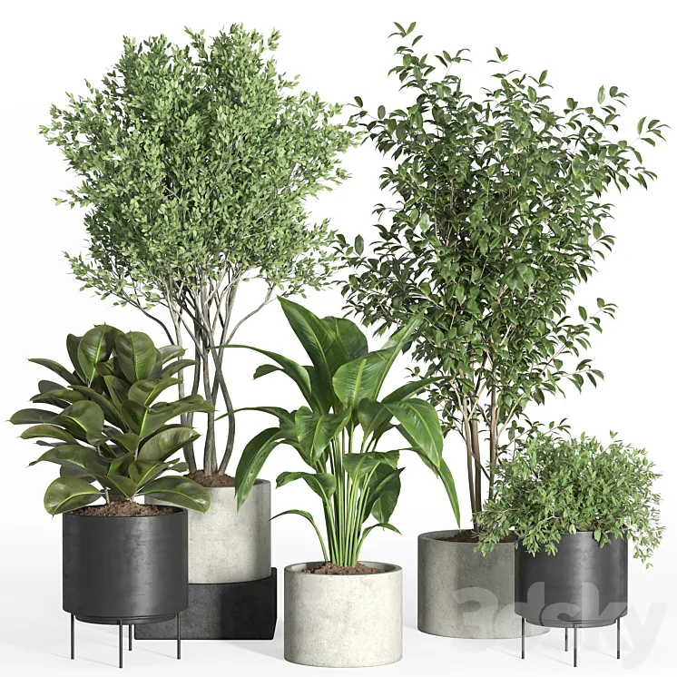 indoor plant set 35-concrete and metal pot 3DS Max
