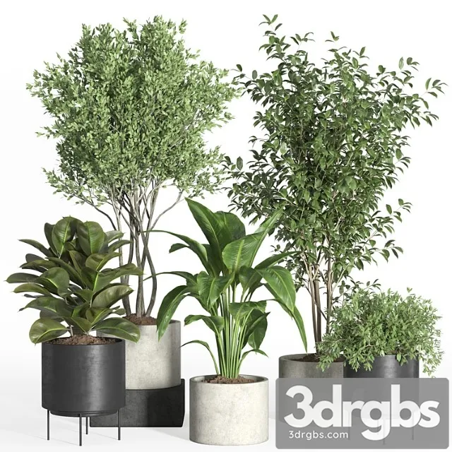 Indoor plant set 35-concrete and metal pot