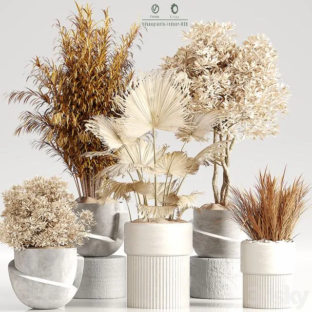 Indoor Plant Set 35 Dry Plants 3dsMax Model