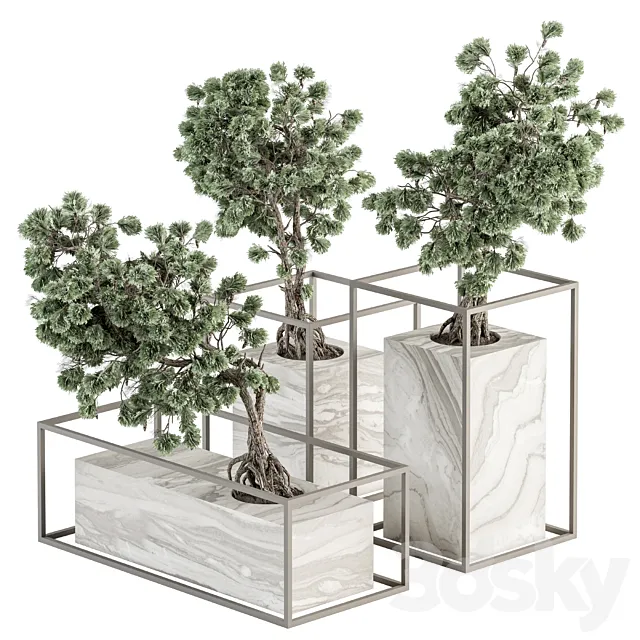 indoor Plant Set 358 – Bonsai Set Plant in pot 3DSMax File