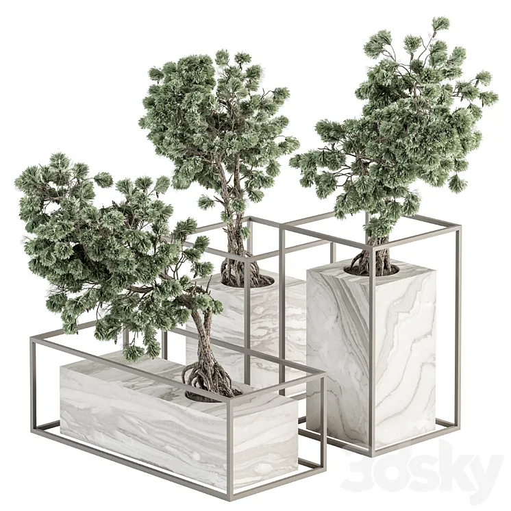 indoor Plant Set 358 – Bonsai Set Plant in pot 3DS Max Model