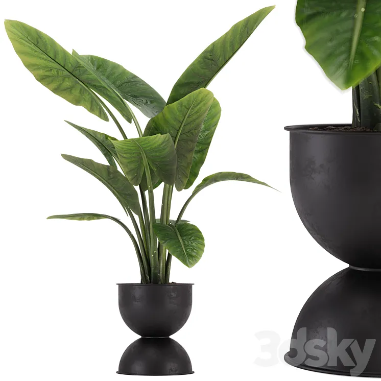 indoor plant set 36 3DS Max Model