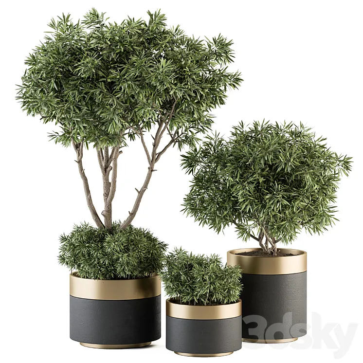 indoor Plant Set 361- Tree and Plant Set in pot 3DS Max