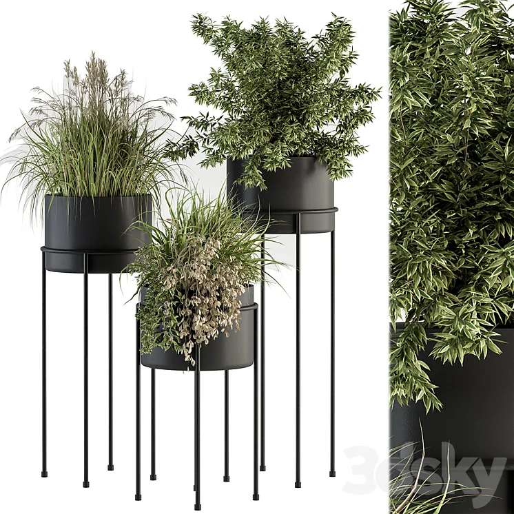 indoor Plant Set 370 – Tree and Plant Set Stand pot 3DS Max
