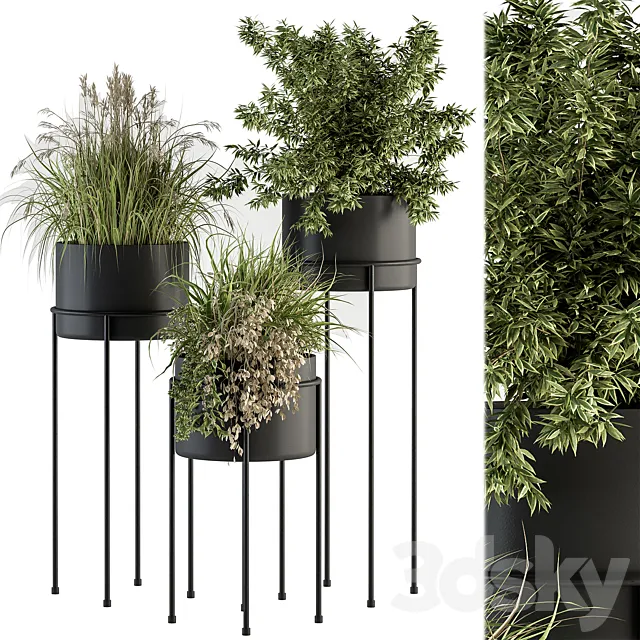 indoor Plant Set 370 – Tree and Plant Set Stand pot 3DSMax File