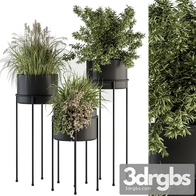 Indoor plant set 370 – tree and plant set stand pot