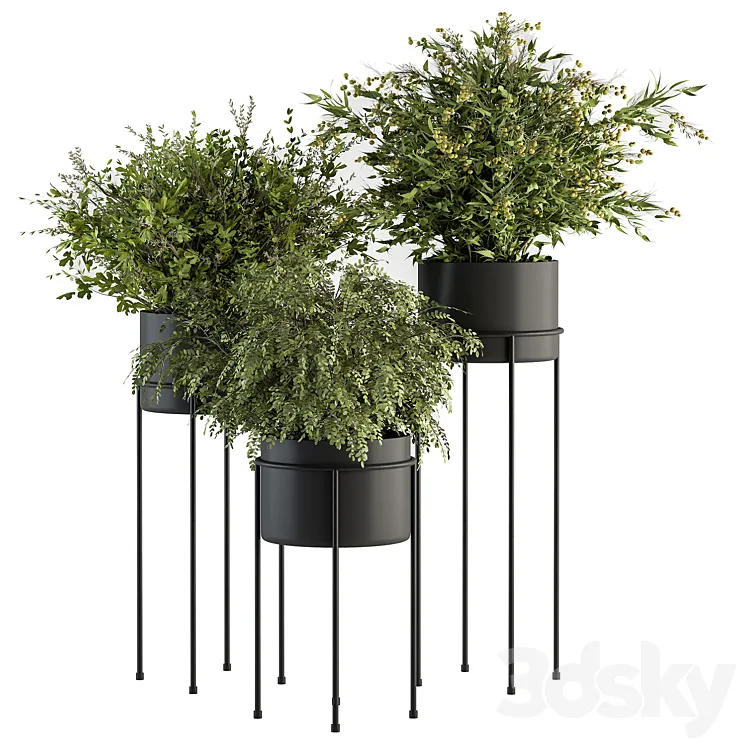 indoor Plant Set 371- Bush and Plant Set in Black stand 3DS Max
