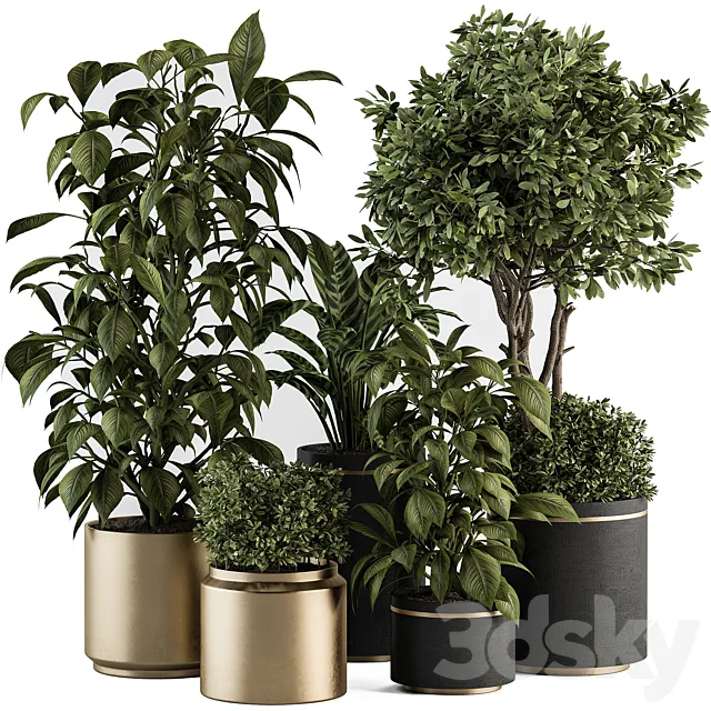 indoor Plant Set 378- Tree and Plant Set in pot 3DS Max Model