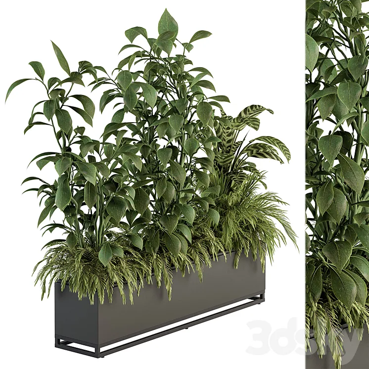indoor Plant Set 383 – Plant Set in Box 3DS Max