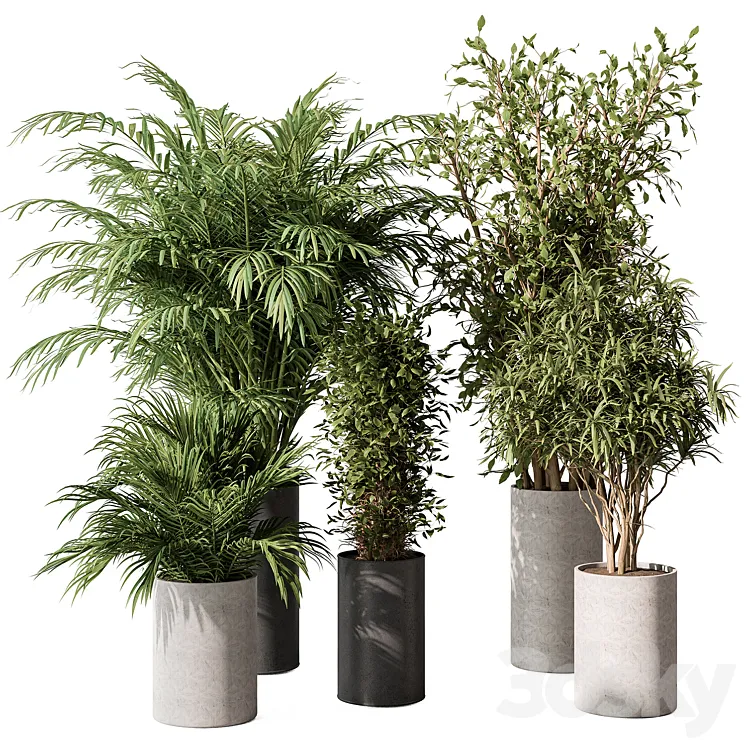 indoor Plant Set 386- Tree and Plant Set in pot 3DS Max