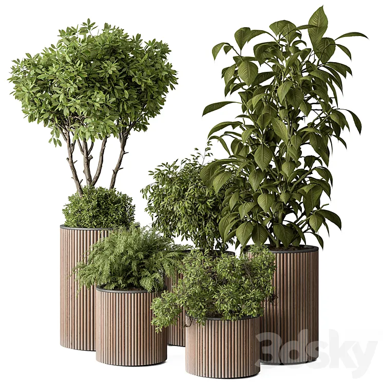 indoor Plant Set 388- Tree and Plant Set in pot 3DS Max Model