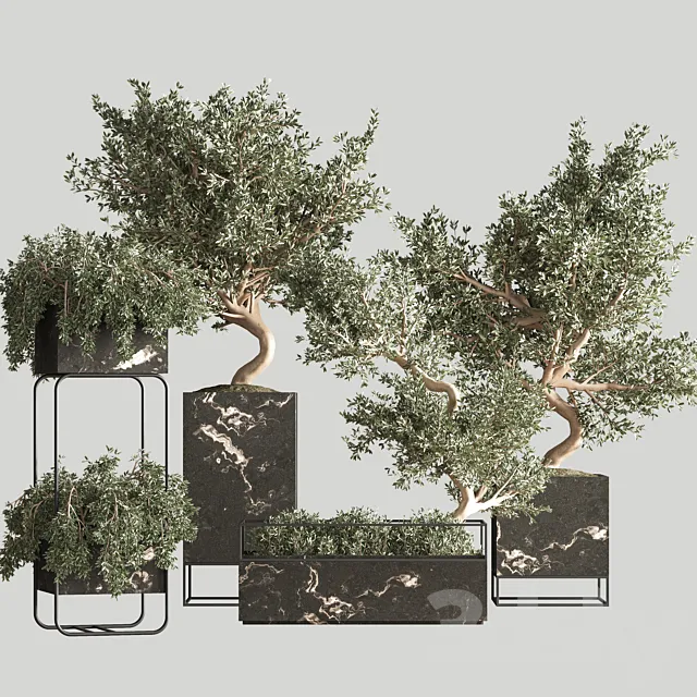 indoor plant set 39 3ds Max